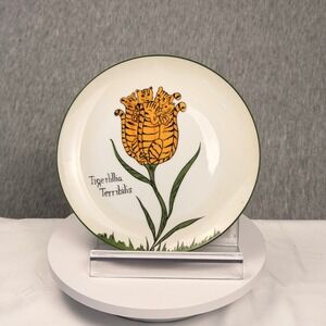 Scully & Scully Edward Lear Nonsense Botany Plates Set of 6 Japan Porcelain